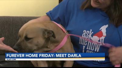 Meet Darla!