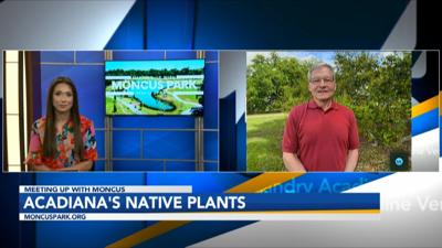 acadiana native plants.jpg