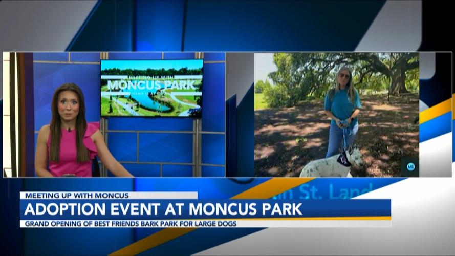 Adoption at Moncus Park Interview.jpg