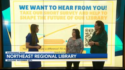 LIBRARY SURVEY INTERVIEW.jpg